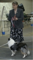 American Bulldog Club